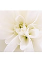 view 6 of 7 000 Eau De Parfum in 