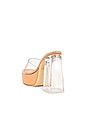 view 3 of 5 Dolly Lucite Mule in Clear & Tan