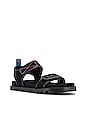 view 2 of 5 Malibu Sandal in Black