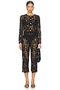 view 4 of 4 Coco Lace Cardigan in Black