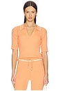 view 1 of 4 Odette Knit Polo in Coral Reef