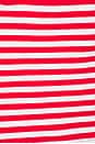 view 5 of 5 Nia Top in Scarlett Stripe