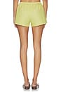 view 4 of 6 Yoshi Stripe Summer Short in Lemon & Chocolate Stripe