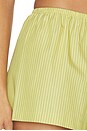 view 6 of 6 Yoshi Stripe Summer Short in Lemon & Chocolate Stripe