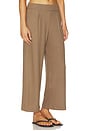 view 2 of 6 Lauren Crop Pleated Pocket Pant in Walnut
