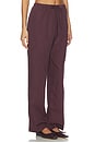 view 2 of 6 Yoshi Stripe Classic Tie Pant in Bordeaux & Rose Stripe