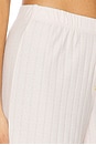 view 6 of 6 Pointelle Boxer Pant in Petal
