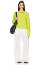 view 5 of 6 Daniel Drawstring Pocket Pant in Parchment