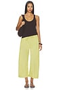 view 5 of 6 Yoshi Stripe Crop Drawstring Pant in Lemon & Chocolate Stripe