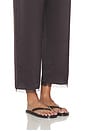 view 6 of 6 Barb Lace Crop Pant in Chocolate