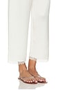 view 6 of 6 Barb Lace Crop Pant in Creme