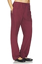 view 2 of 6 Kyoto Drawstring Pant in Maroon