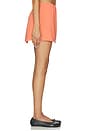 view 3 of 6 MINIFALDA ARIELLE in Pamplemousse
