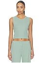 view 1 of 4 Pointelle Sleeveless Crew in Eucalyptus