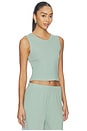 view 2 of 4 Pointelle Sleeveless Crew in Eucalyptus