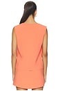 view 3 of 4 Arielle Sleeveless Crew in Pamplemousse