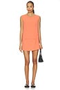 view 4 of 4 Arielle Sleeveless Crew in Pamplemousse