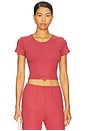 view 1 of 4 Lauren Crop Slim Fit Tee in Radish