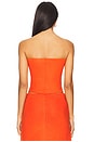 view 3 of 4 Lauren Bandeau Top in Poppy