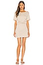view 1 of 3 Beachwood Dress in Sand