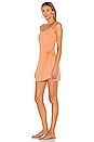 view 4 of 5 Bahama Dress in Toasted