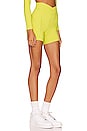 view 2 of 4 x Tessa Brooks Carter Biker Short in Apple