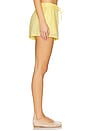 view 3 of 6 Rio Short in Daisy