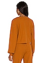 view 3 of 4 Romy Terry Sweater in Amber