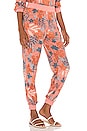 view 2 of 4 Skyler Pant in High Dive Floral