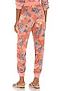 view 3 of 4 Skyler Pant in High Dive Floral