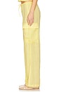 view 3 of 6 Sundown Cargo Pant in Daisy
