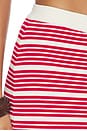view 6 of 6 FALDA RAVELLO in Superbloom Stripe