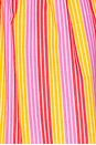 view 6 of 6 Santa Cruz Tunic in Bondi Babe Stripe