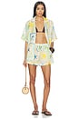 view 5 of 5 CAMISA LA MER in Wish You Were Here