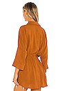 view 3 of 4 Pacifica Tunic in Amber