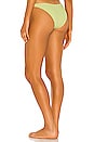 view 3 of 4 Camacho Classic Bikini Bottom in Mojito