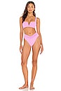 view 4 of 5 Court Bitsy Bikini Bottom in Rosebud