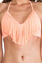 view 4 of 4 Audrey Fringe Top in Electric Coral