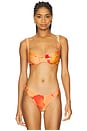 view 1 of 4 Coast To Coast Bikini Top in Native Poppies