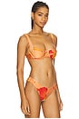 view 2 of 4 Coast To Coast Bikini Top in Native Poppies