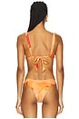 view 3 of 4 Coast To Coast Bikini Top in Native Poppies