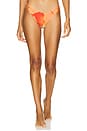 view 1 of 4 Rocky Bikini Bottom in Native Poppies