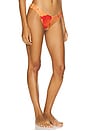 view 2 of 4 Rocky Bikini Bottom in Native Poppies