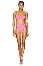 view 4 of 4 NORA 비키니 하의 in Bubblegum & Grapefruit