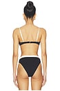 view 3 of 4 Sunrise Seashell Bikini Top in Black & Cream