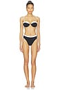 view 4 of 4 Sunrise Seashell Bikini Top in Black & Cream