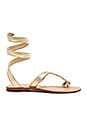 view 1 of 5 Snake Wrap Sandal in Gold