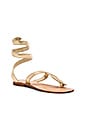 view 2 of 5 Snake Wrap Sandal in Gold