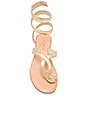 view 5 of 5 Snake Wrap Sandal in Gold