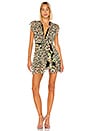 view 1 of 4 Flirty Leopard Dress in Van Gogh Leopard